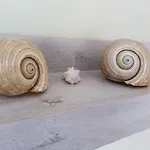 Lägenhet Casa Salgio