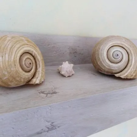 아파트 Casa Salgio