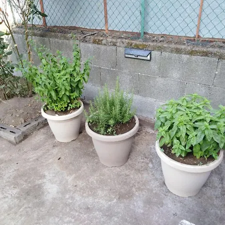 Casa Salgio アパート *