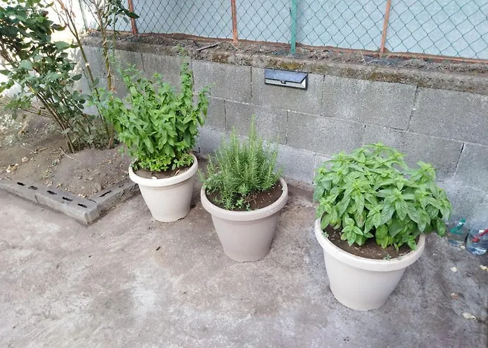 Casa Salgio 公寓 *